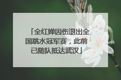 全红婵因伤退出全国跳水冠军赛，此前已随队抵达武汉