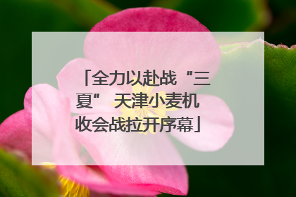 全力以赴战“三夏” 天津小麦机收会战拉开序幕
