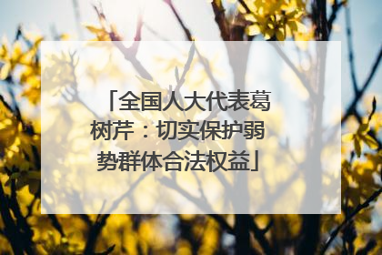全国人大代表葛树芹：切实保护弱势群体合法权益