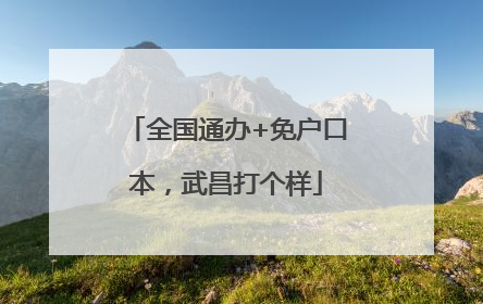 全国通办+免户口本，武昌打个样