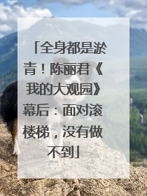 全身都是淤青！陈丽君《我的大观园》幕后：面对滚楼梯，没有做不到