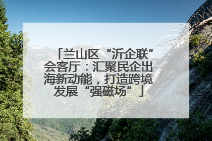 兰山区“沂企联”会客厅：汇聚民企出海新动能，打造跨境发展“强磁场”