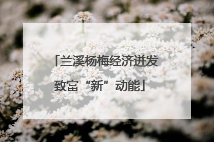 兰溪杨梅经济迸发致富“新”动能