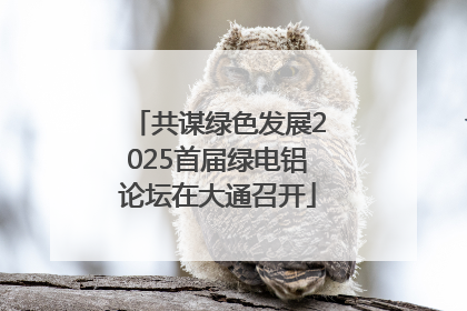 共谋绿色发展2025首届绿电铝论坛在大通召开