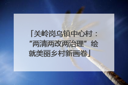 关岭岗乌镇中心村：“两清两改两治理”绘就美丽乡村新画卷