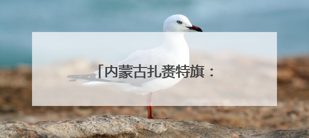 内蒙古扎赉特旗：水稻迎来插秧季