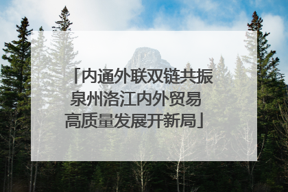 内通外联双链共振 泉州洛江内外贸易高质量发展开新局