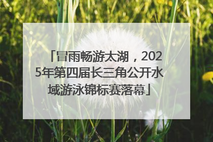 冒雨畅游太湖，2025年第四届长三角公开水域游泳锦标赛落幕