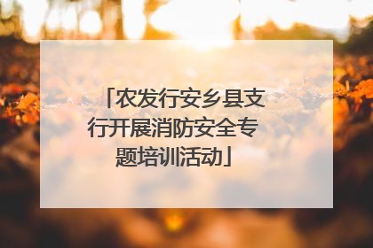 农发行安乡县支行开展消防安全专题培训活动