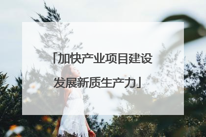 加快产业项目建设 发展新质生产力