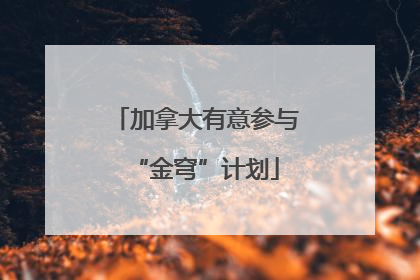 加拿大有意参与“金穹”计划