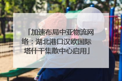 加速布局中亚物流网络：湖北港口汉欧国际塔什干集散中心启用