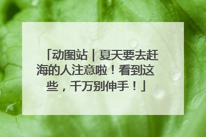 动图站｜夏天要去赶海的人注意啦！看到这些，千万别伸手！