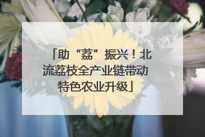 助“荔”振兴！北流荔枝全产业链带动特色农业升级
