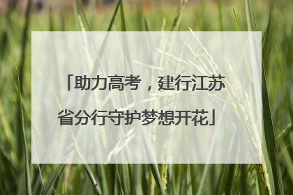 助力高考，建行江苏省分行守护梦想开花