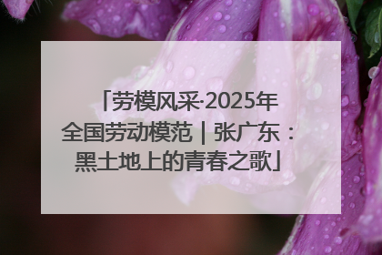 劳模风采·2025年全国劳动模范｜张广东：黑土地上的青春之歌