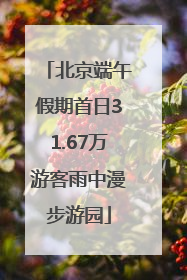 北京端午假期首日31.67万游客雨中漫步游园