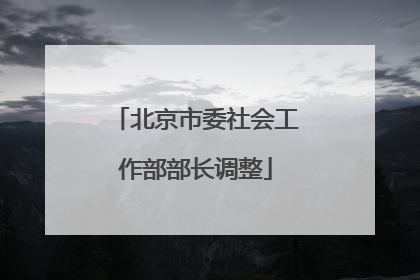 北京市委社会工作部部长调整
