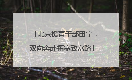 北京援青干部田宁：双向奔赴拓宽致富路