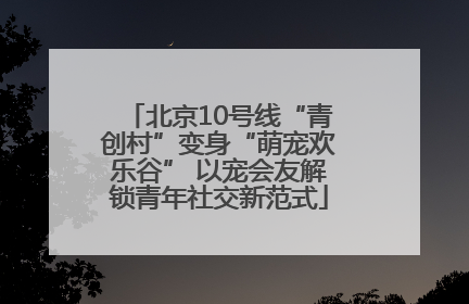 北京10号线“青创村”变身“萌宠欢乐谷” 以宠会友解锁青年社交新范式