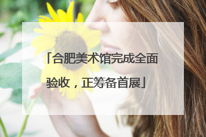 合肥美术馆完成全面验收，正筹备首展