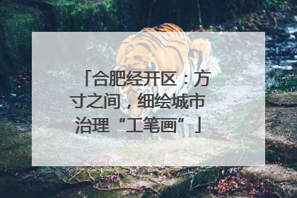 合肥经开区：方寸之间，细绘城市治理“工笔画”
