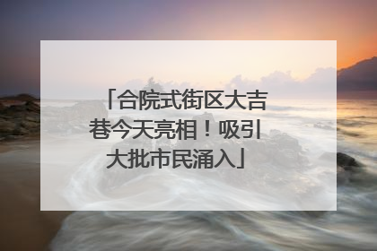 合院式街区大吉巷今天亮相！吸引大批市民涌入