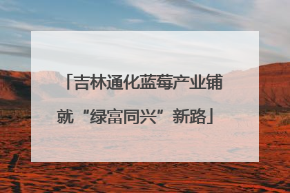 吉林通化蓝莓产业铺就“绿富同兴”新路