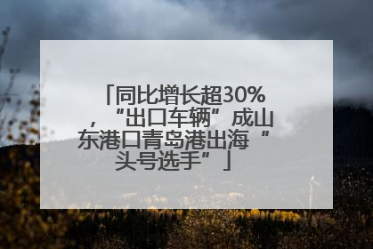 同比增长超30%，“出口车辆”成山东港口青岛港出海“头号选手”