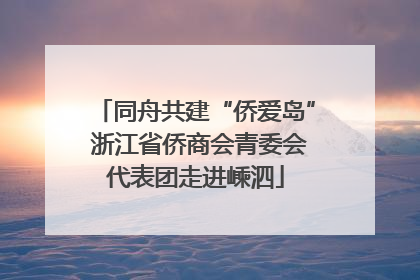 同舟共建“侨爱岛” 浙江省侨商会青委会代表团走进嵊泗