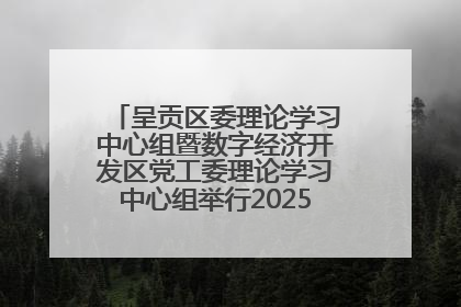 呈贡区委理论学习中心组暨数字经济开发区党工委理论学习中心组举行2025年第七次学习会议