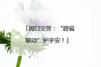 周口交警：“跨省联动”护平安！