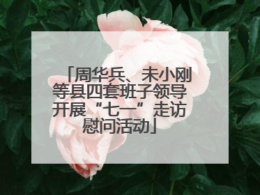 周华兵、未小刚等县四套班子领导开展“七一”走访慰问活动