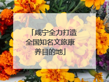 咸宁全力打造全国知名文旅康养目的地