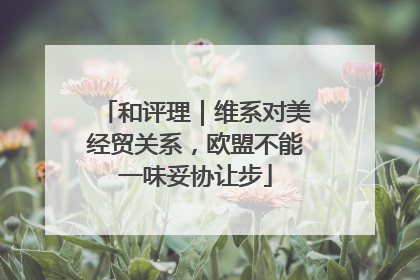 和评理｜维系对美经贸关系，欧盟不能一味妥协让步