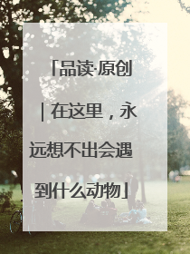 品读·原创｜在这里，永远想不出会遇到什么动物