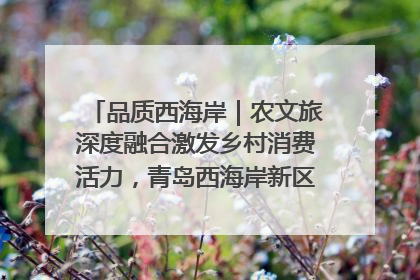 品质西海岸｜农文旅深度融合激发乡村消费活力，青岛西海岸新区的乡村振兴实践