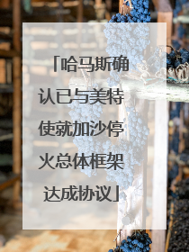 哈马斯确认已与美特使就加沙停火总体框架达成协议