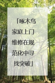 啄木鸟家庭上门维修在规范化中寻找突破