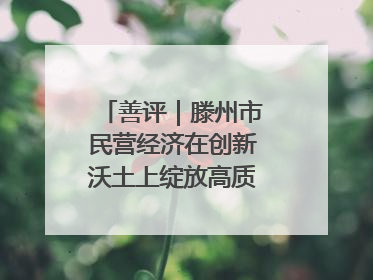善评｜滕州市民营经济在创新沃土上绽放高质量发展之花