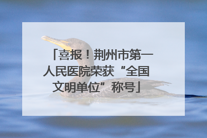 喜报！荆州市第一人民医院荣获“全国文明单位”称号