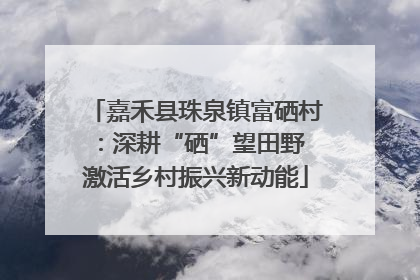 嘉禾县珠泉镇富硒村：深耕“硒”望田野 激活乡村振兴新动能
