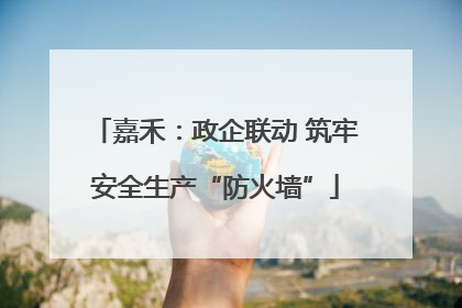 嘉禾：政企联动 筑牢安全生产“防火墙”