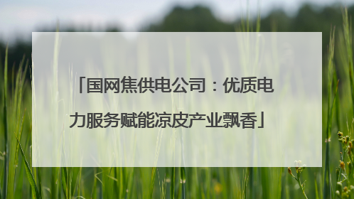 国网焦供电公司：优质电力服务赋能凉皮产业飘香