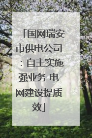 国网瑞安市供电公司：自主实施强业务 电网建设提质效
