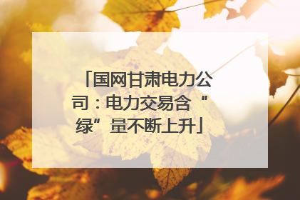 国网甘肃电力公司：电力交易含“绿”量不断上升