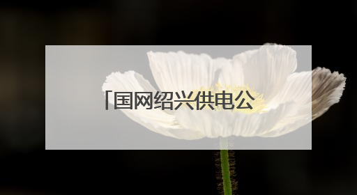 国网绍兴供电公司：电力迁改为甬金高速拓宽让道