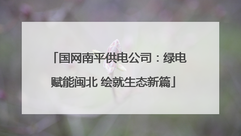 国网南平供电公司：绿电赋能闽北 绘就生态新篇