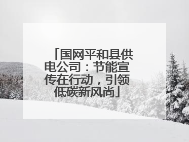 国网平和县供电公司：节能宣传在行动，引领低碳新风尚