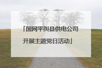 国网平舆县供电公司开展主题党日活动